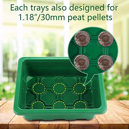 Feizeisun Anzucht Gewächshaus 12 Stück 144 Zellen Zimmergewächshaus Anzuchtkasten Mini Gewächshaus Anzuchtset Treibhaus Anzuchtschale mit Deckel und Belüftung, 20 Etiketten, 2 Werkzeuge