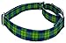 Country Brook Petz - Blue and Green Plaid Martingale Dog Collar - Plaid and Argyle Collection Featuring Charming Designs (1 Inch, Large)