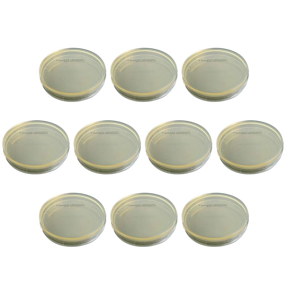 Medio R2a 10pcs R2a Agar Plates Disposable R2a Agar Medium Agar Plates ...