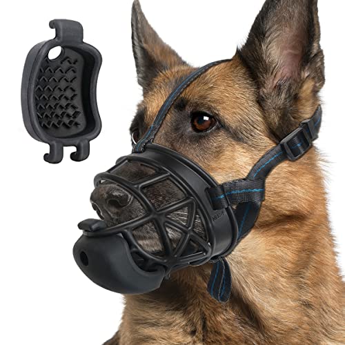 Top 10 Best Muzzle For Aggressive Dog Reviews & Buying Guide Katynel