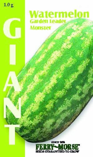 Amazon.com : Ferry-Morse 2142 Watermelon Seeds, Garden Leader Monster ...
