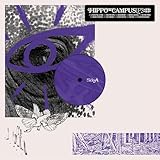LP3