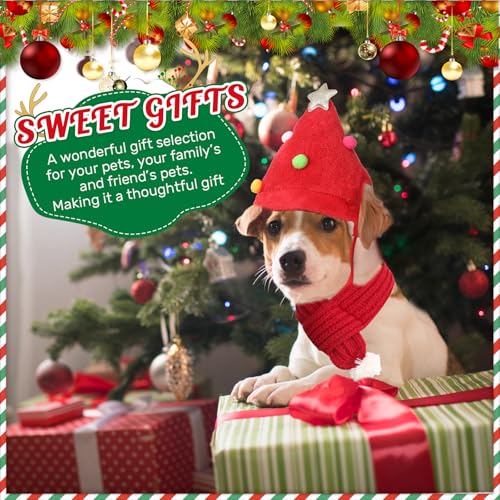 Conjunto de 4 Pcs Sombreros y Bufandas Navideñas para Perro miniatura 6