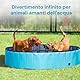 Pool für Hunde und Katzen, 160 x 30 cm, Harter Pool für den Innen- und Außenbereich, rutschfest und faltbar, aus strapazierfähigem PVC-Material, in Rot und Blau