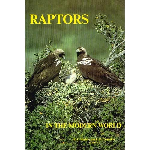 Raptors in the modern world