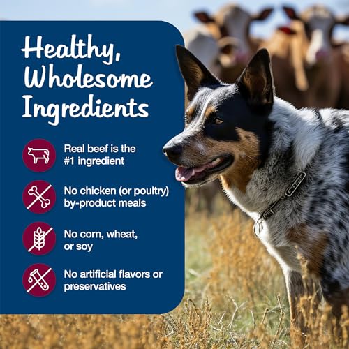 Blue Buffalo Blue's Stew Beef Grain-Free Wet Dog Food, 12.5 oz, 12 ct - image 6