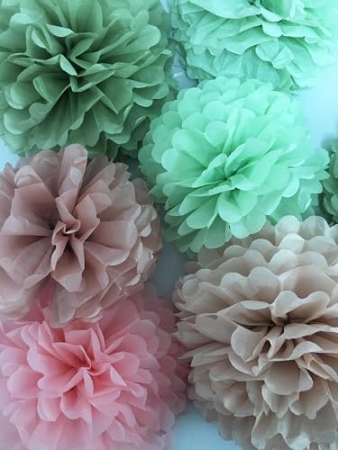 Image of Tissue Paper Pom Poms Kit -Rose Pink and Sage Green Paper Flowers 12pieces for Gender Baby Shower Wedding Bridal Bachelorette Birthday Party Decorations (Green + Pink)