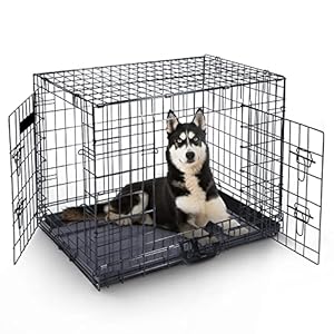 Hundekäfig (122cm) – Haustierkäfig aus schwarzem Metall mit 2 Türen (vorne und seitlich) mit kaubeständiger Kunststoff-Basisschale und Tragegriff, robuste Box, perfekt für Welpentraining (XXL)