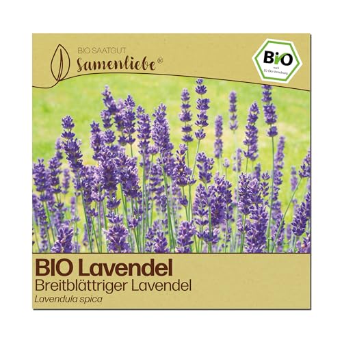 Samenliebe BIO Lavendel Samen | Breitblättriger Lavendel - winterhart & mehrjährig - samenfestes BIO Saatgut