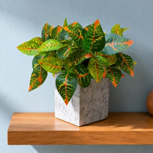 Image of fancymart Artificial Plant with Real-Touch Leaves in Pot, 25 cm, Indoor Tabletop Item for Home Decor, Office, Living Room