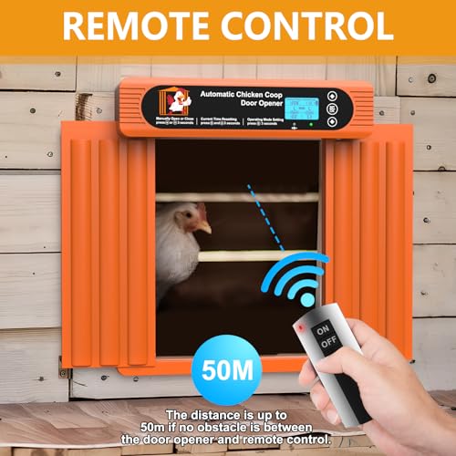 Porta automática de galinheiro alimentada por energia solar, tela LCD, design anti-beliscão, porta d