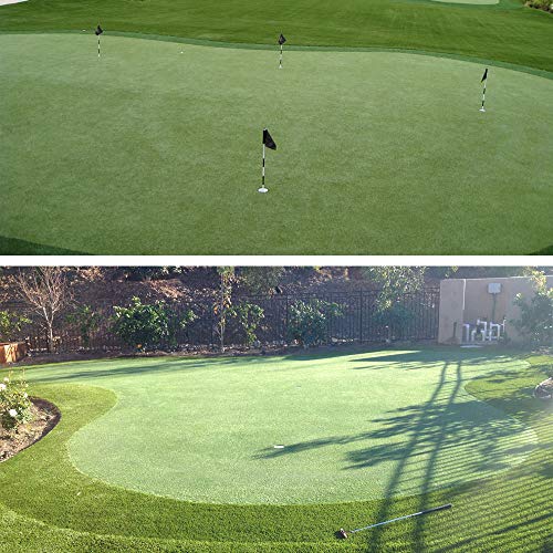 Petgrow Pro 6FTX10FT Putting Green