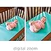 Summer Infant Panorama Video Baby Monitor with 5-inch Screen and Remote Steering Camera