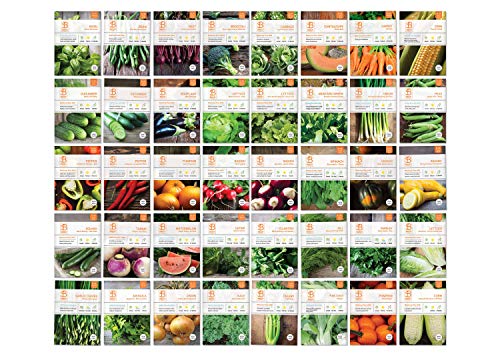 Bentley Seed Co. Set of 40 Vegetable Seeds for Planting - Gardening Seeds to Grow in a Garden or Indoors - Get your own Seeds for Planting Vegetables - Herb Seeds - Garden Seeds Vegetable Variety Pack