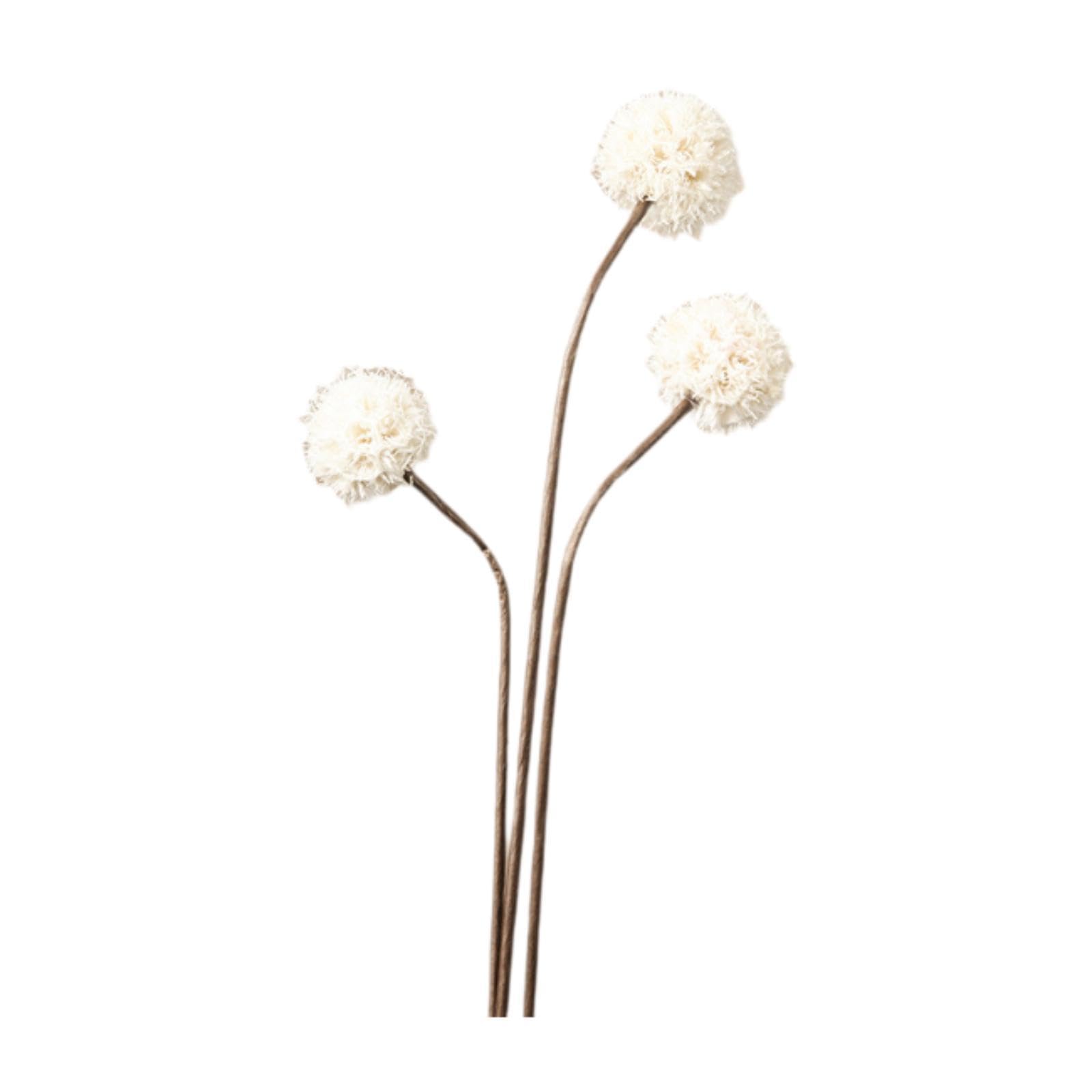 Dried Flower Bouquet for Floral Arrangement for Bedroom Birthday Office Style K-image-24
