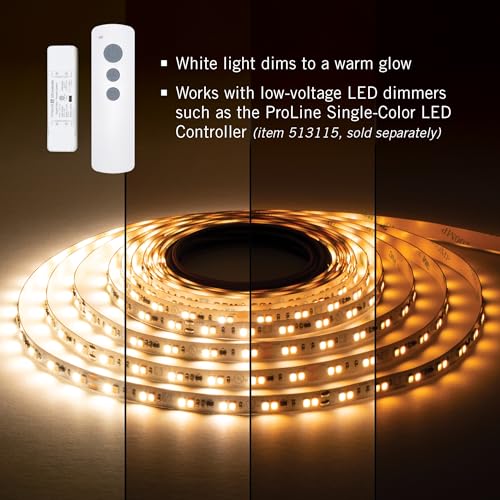 Cinta LED Dim-to-Warm 24V Blanco 16.4 ft miniatura 2