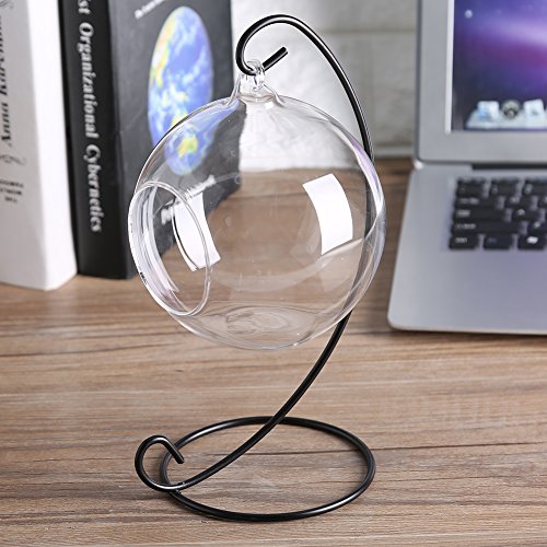 Appeso Fiore Bottiglia di Vetro Vaso per Piante