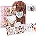 Depesche 12714_A Top Model Colouring and Sticker Book Kitty and Doggy, pink