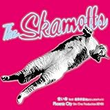 ���P feat.�����F��(�J�ӂ炵�J���e�b�g)/Phoenix City Bim One Production REMIX