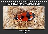 weinsberg carabus 600 mqh preis VIELFALT - Mit über 25.000 verschiedenen Kalendern bietet der CALVENDO Verlag für jeden Geschmack das richtige Produkt. Zudem sind die Kalender meist in den Formaten DIN A5, DIN A4, DIN A3 sowie DIN A2 verfügbar. Der ideale Kalender für Ihr Wohnzimmer, Schlafzimmer, Küche, Esszimmer sowie für Kinderzimmer.