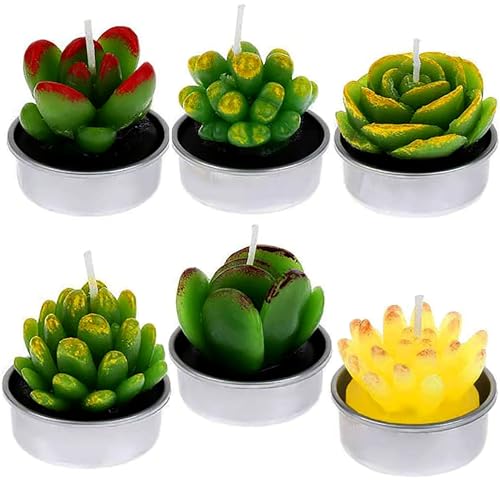 JIAMIAN 6 velas creativas de cactus para suculentas, hechas a mano, delicadas, lindas mini plantas suculentas, perfectas para decoración del hogar