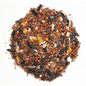 Wagners53003farmersdelightwildbirdfoodwithcherryflavor20poundbag Urban Country Home Decor Wagners 53003 farmers delight wild bird food with cherry flavor 20 pound bag urban country home decor