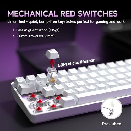 Image of DIERYA DK68 60% Wireless Mechanical Gaming Keyboard, 3-Mode, Bluetooth 5.0 /2.4G /USB-C, RGB Backlit, 68-Key Compact Mini for Windows, Mac, Linux - Linear Red Switch - White