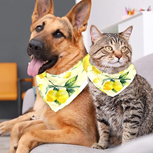 2 Stück Hundehalstuch, Zitrone, Obst, Gelb, Mädchen, Jungen, Hundetuch, Halstuch, Zubehör für kleine, mittelgroße und große Hunde, Welpen, Katzen, Haustier