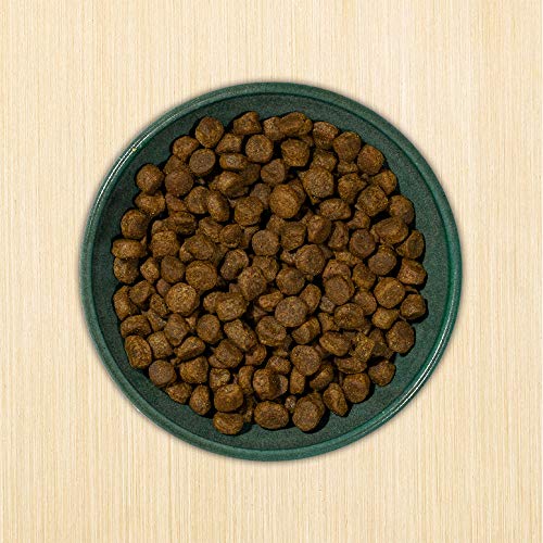 Annamaet Grain-Free Re-Juvenate Senior Formula Dry Dog Food, (Fresh Silver Carp & Turkey), 12-Lb Bag #TOP5