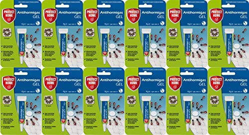 Protect Home mierenaas van gel tegen mieren voor binnen, snelle actie en zeer aantrekkelijk, 4 g, 12 stuks