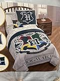 Harry Potter Hogwarts Twin Full Comforter Set