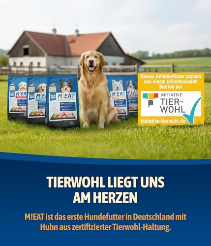 NutriQM® M!EAT Hundefutter Trocken Adult | 12 kg getreidefreies Trockenfutter für Hunde | 70 % Fleischanteil aus Geflügel & Rind | Ohne Zuckerzusatz & Zusatzstoffe | Tierwohl-Siegel | Made in Germany