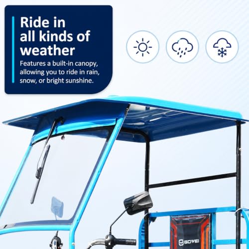1000W Electric Cargo Tricycle Truck