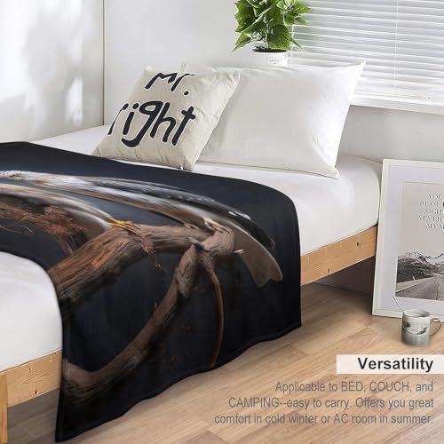 Couvertures de lit flannel douce Aigle couverture chaude 4 saisons - 7