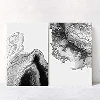 2 Panel Canvas Wall Art Black and White Style Canvas Prints Home Artwork Decoration for Living Room,Bedroom - 16