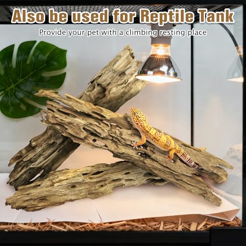 Image of PINVNBY Natural Driftwood for Aquarium Large Reptile Terrarium Decor Decorations Assorted Branches Dearded Dragon Tank Accessories (Slim Style: 7.87-11.8 inches /3 Pack)