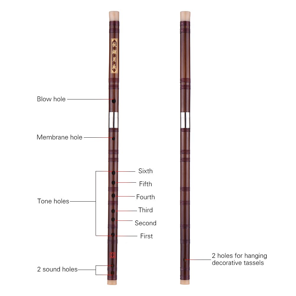 Pluggable Bitter-Bambusflöte, Dizi, traditionell, handgefertigt, chinesisches Musikinstrument, Tonart C, für Lernniveau, professionelle Leistung mit reinem melodischem Klang, einfach zu spielen