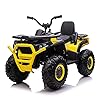 COLOR TREE Kids ATV Ride On ATV 12V Battery Powered Electric Vehicle 4 Wheeler Quad High/Low Speeds with LED Light…