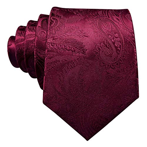 Image of Barry.Wang Paisley Tie Fashion Set Hanky Cufflinks Neckties for Men Woven Silk