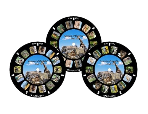 Generic AW24 Animals Of The Wild, Viewfinder Reels cover