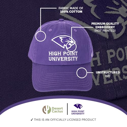 Gorra Ajustable Con Bordado HPU Panthers Morado miniatura 4