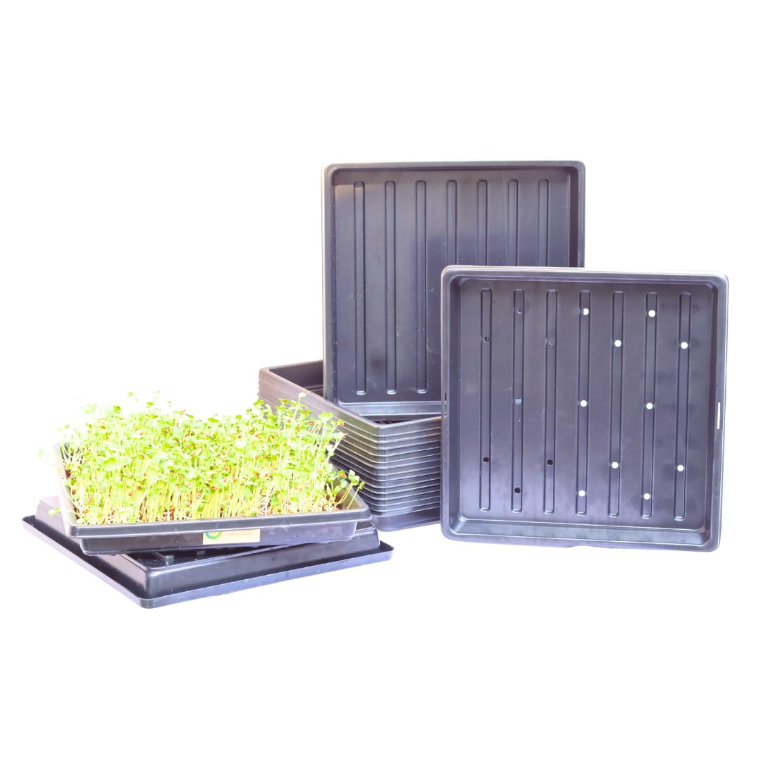 Smiling Greens 1010 Microgreens Tray Set Pack of 5 Pairs 10 Trays | 1x1 Ft Tray Size | with Drainage Holes and Base Trays | Indoor Gardening Seed Starter | Suitable for Wheatgrass Sprouts Herbs-image-30