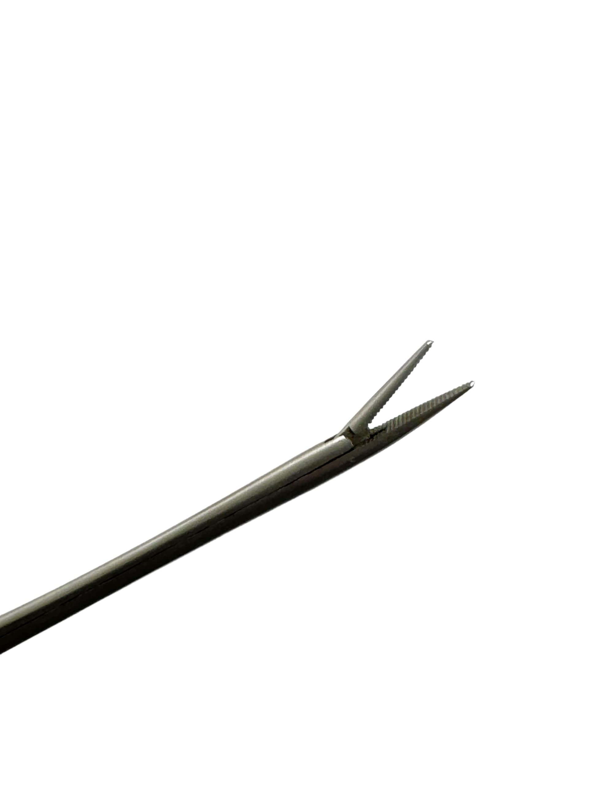 Alligator Forceps - Serrated Tips, Stainless Steel -3