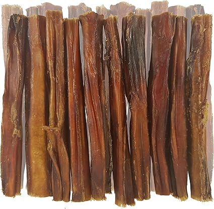 20 Thick Bulls Pizzles for Dogs by Britten and James (8.5-10cm length)