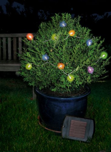 SolarCosa Solar Fairy Lights with 20 Multi Coloured LEDs