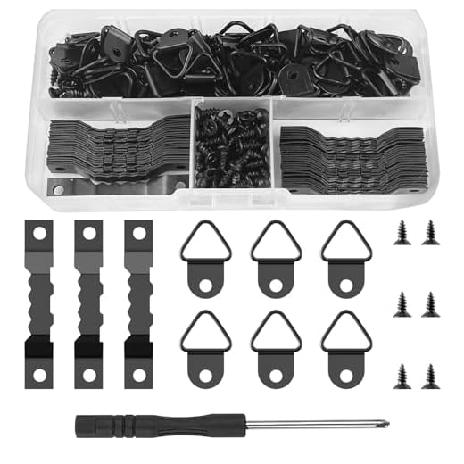 Avesteir 251 Piezas Colgar Cuadros Negro, Colgador Cuadros Set con Caja Plastica y Tornillo, Ganchos Dientes de Sierra Doble Agujero de Acero, Cuelga Cuadro para Colgar Marco Pinturas Obras de Arte
