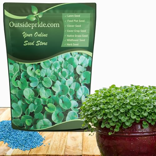 Outsidepride Perennial Dichondra Repens Seeds - 1 lb Dense Green, Low-Maintenance Ground Cover Seeds for Planting, Ideal Lawn Alternative in Sun or Shady Areas & Erosion Control in USDA Zones 8-11