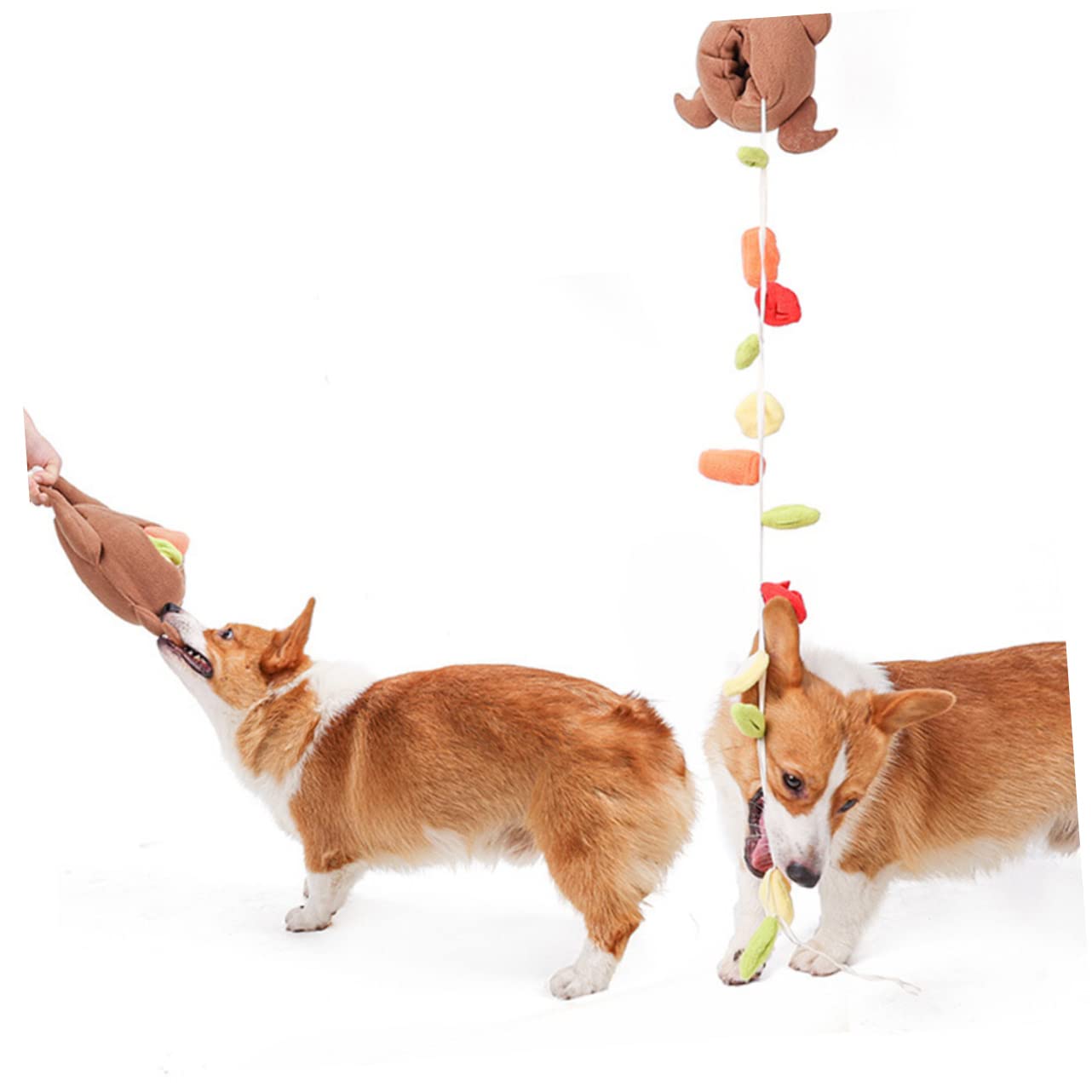 minkissy 3pièces Jouet Interactif pour Chien Jouet à Mastiquer Peluche Design Dinde pour Et Entraînement des Animaux De Compagnie