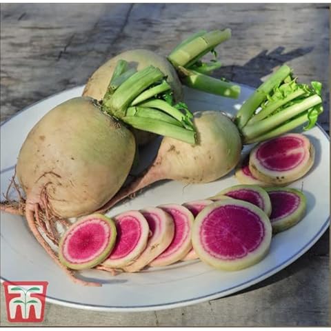 Daikon Radish 'Misato Rose Flesh' F1 Hybrid Seeds Cover