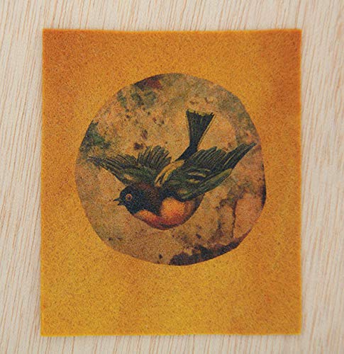 Lesley Riley’s TAP Transfer Artist Paper 5 Sheet Pack: 5 Iron-on Image Transfer Sheets 8.5 X 11